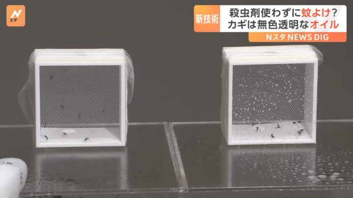 【有片睇】一噴蚊子數秒內不能再飛  日本花王新技術阻礙蚊子飛行能力